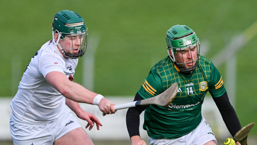 Greville reveals panel for the Allianz Hurling League