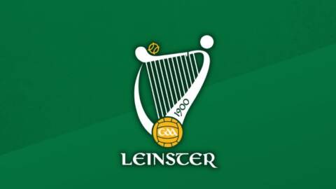 Join the Coaching & Games team – Leinster GAA are Hiring!